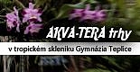 Akva-tera trhy